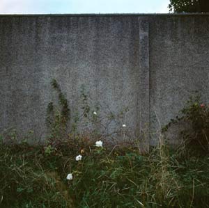 Fig 12: Images from an abandoned Dublin Convent and Magdalene Laundry (2006)